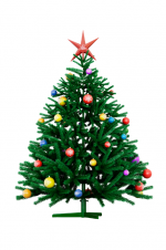 Christmas Tree cropped